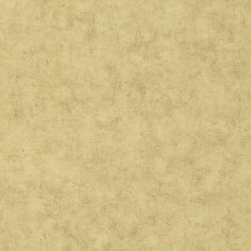Papel pintado Caselio Béton Uni BET101487893