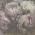 New Walls 37392-1 As Creation Papel pintado