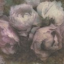 New Walls 37392-2 As Creation Papel pintado