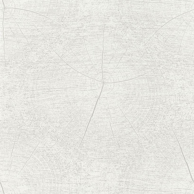 Papel pintado Casadeco Natura Winter NTRA83760101