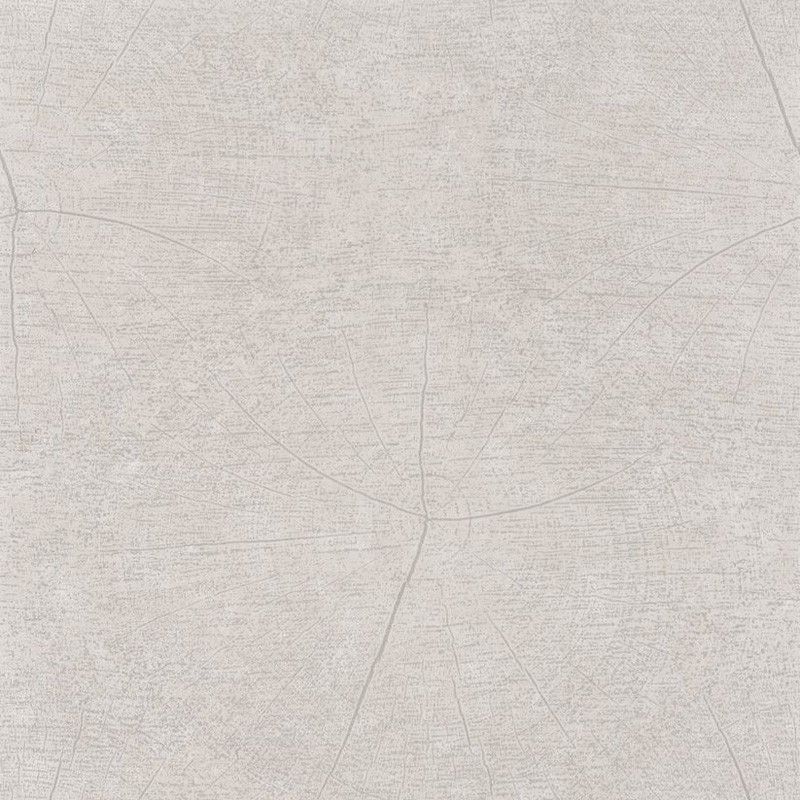 Papel pintado Casadeco Natura Winter NTRA83761207