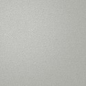 Alocasia Allora Texture 36031 Papel pintado Holden