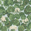 Sevilla Geranium 117/11035 Cole & Son