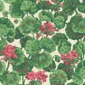 Sevilla Geranium 117/11034 Cole & Son