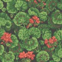 Sevilla Geranium 117/11033 Cole & Son