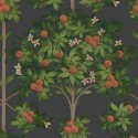 Sevilla Orange Blossom 117/1003 Cole & Son