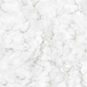 Papel pintado Amazonia 2964