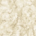 Papel pintado Amazonia 2966