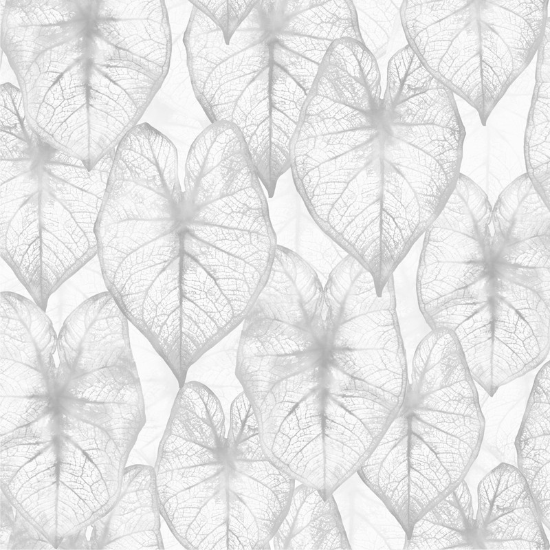 Papel Pintado Kemen Amazonia 2936