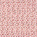 Tela Rose & Nino 4556 01 30 Pipelette