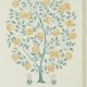 Caspian Anaar Tree 216792