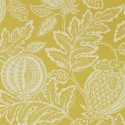 Caspian Cantaloupe 216762 Papel pintado