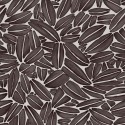 Flower power Succulente TP 301 02 Papel pintado