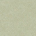 Woods Nervure WOOD 2621 70 10 Casadeco Papel pintado