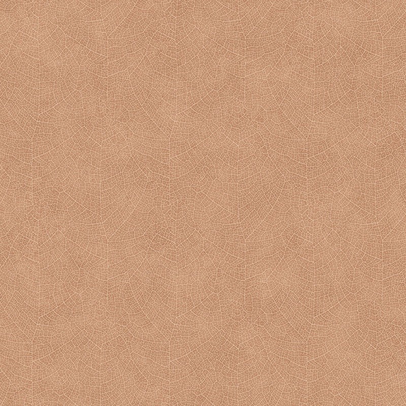 Papel pintado Casadeco Woods Nervure WOOD26213525