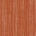Woods Eucalyptus WOOD 8598 34 31 Casadeco Papel pintado