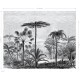 Mural decorativo ESTAhome Paradise 154-158952