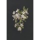 Mural ESTAhome Blush 149-158885
