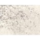 Papel pintado La Maison Fuji Blossom Season FUJ412
