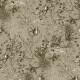 Lounge Luxe Engblad & Co Papel Pintado 6390