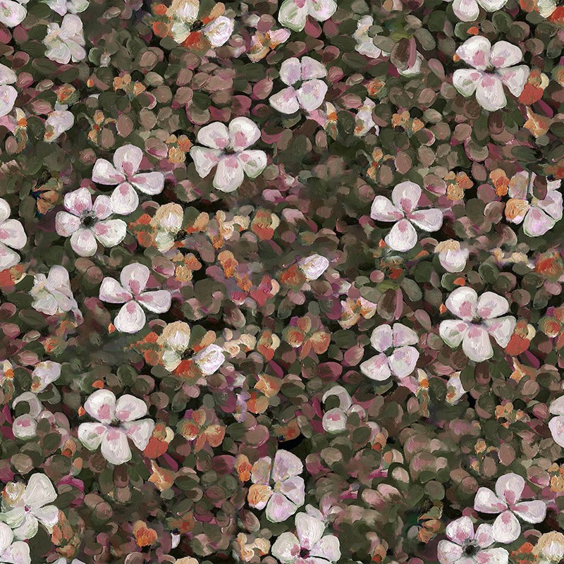 Naturae Papel Pintado Coordonné 9500003