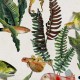 Naturae Papel Pintado Coordonné 9500020