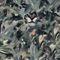 Naturae 9500013 Papel Pintado Coordonné