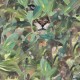 Naturae Papel Pintado Coordonné 9500010