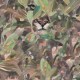 Naturae Papel Pintado Coordonné 9500011