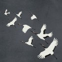 Natural Fabrics 351-357235 Mural Origin