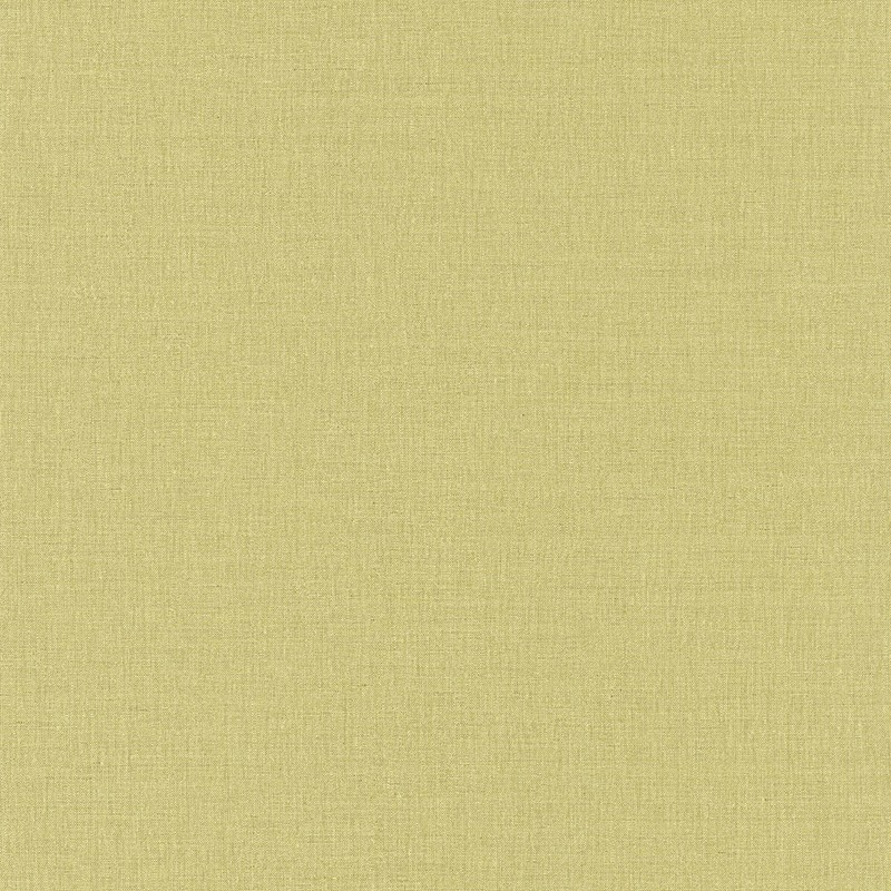 Papel Pintado Caselio Beauty Full Image Uni BFI68527163
