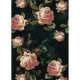 Mural Casadeco Beauty Full Image English Roses BFIM84929413