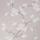 Papel Pintado Colowall Fresca 271-1562