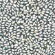 Papel Pintado Caselio Dream Garden Feeling DGN102296121