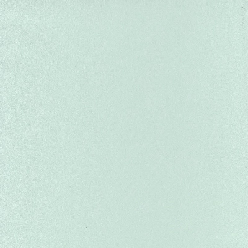 Papel Pintado Caselio Sea You Soon Uni  SYO64527007