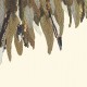 Mural Eijffinger Museum Fancy Feather 307407