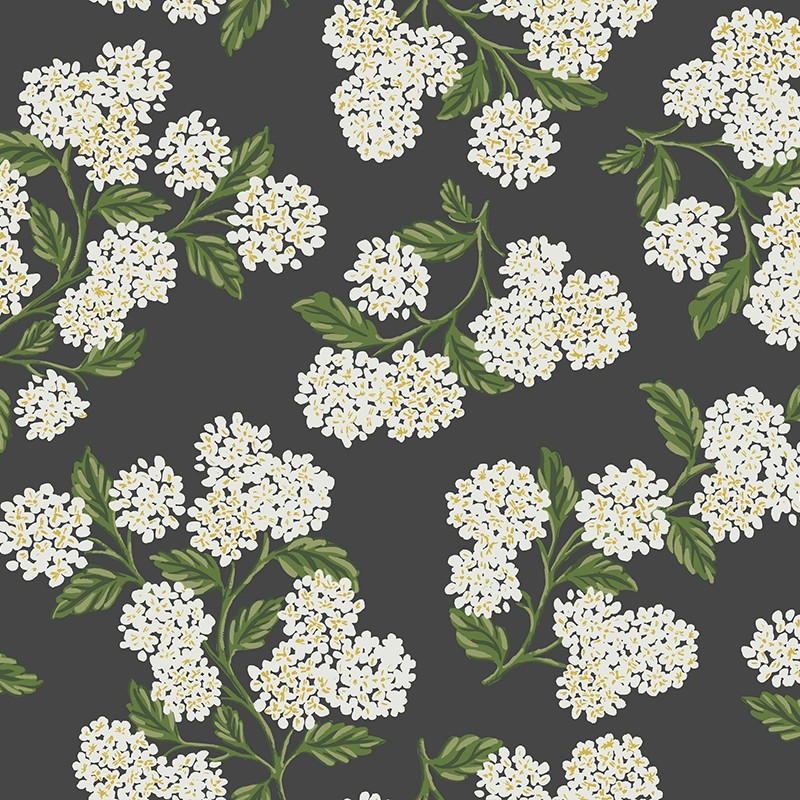 Papel pintado York Rifle Paper Co. RI5146