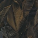 Lymphae 17808 Papel pintado Parati