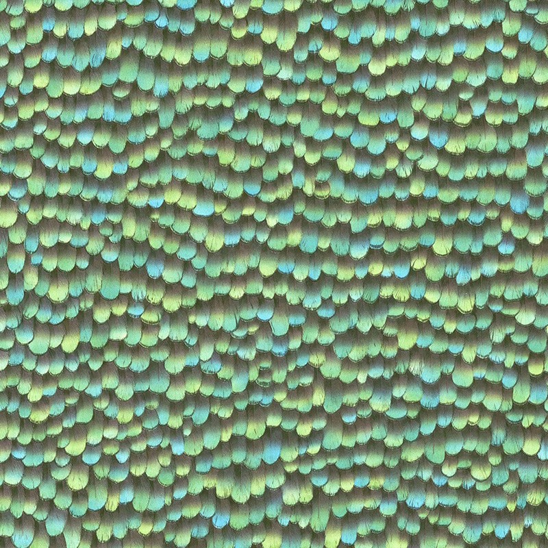Papel pintado Kemen del Catálogo Samoa 8271