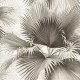 Papel pintado Wallquest Newport Summer Palm PS40100