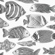 Papel pintado Wallquest Newport Wailea EC80200