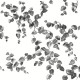 Papel pintado York del Catálogo Simply Farmhouse FH4038