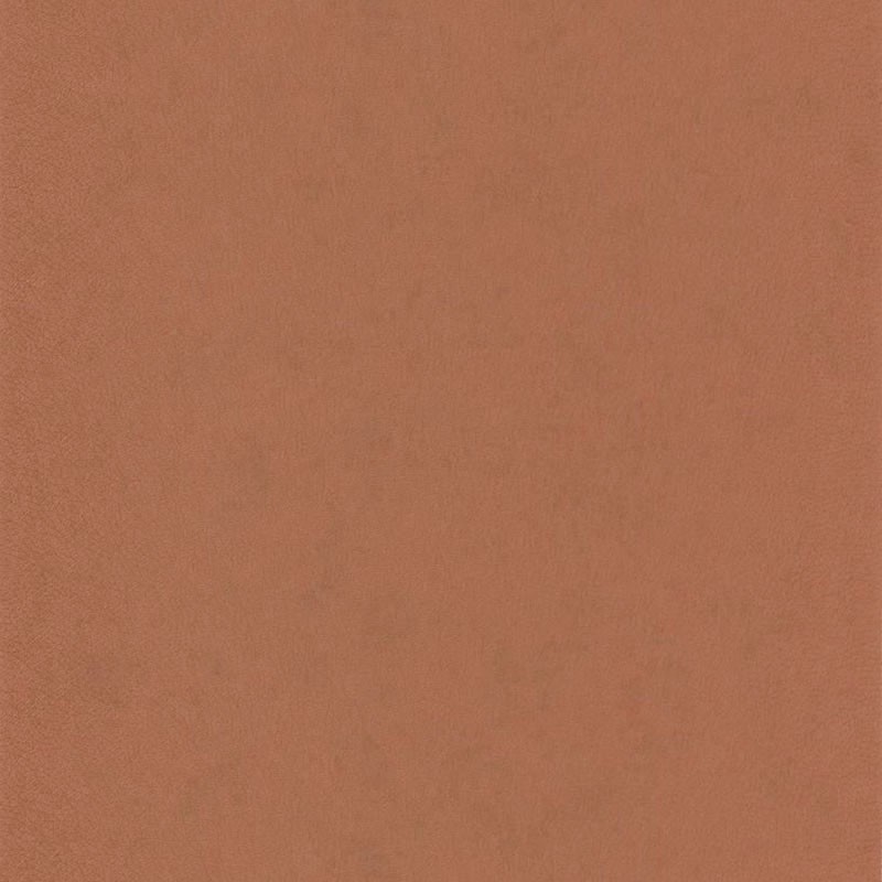Papel pintado Casadeco del Catálogo SO COLOR 4  SCOL29580503