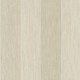 Papel pintado Casadeco del Catálogo SO COLOR 4  SCOL81101221