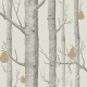 Papel pintado Cole & Son The Contemporary Selection Woods & Pears 95-5032