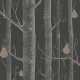 Papel pintado Cole & Son The Contemporary Selection Woods & Pears 95-5031