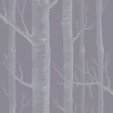 The Contemporary Selection 69/12151 Cole & Son Papel Pintado
