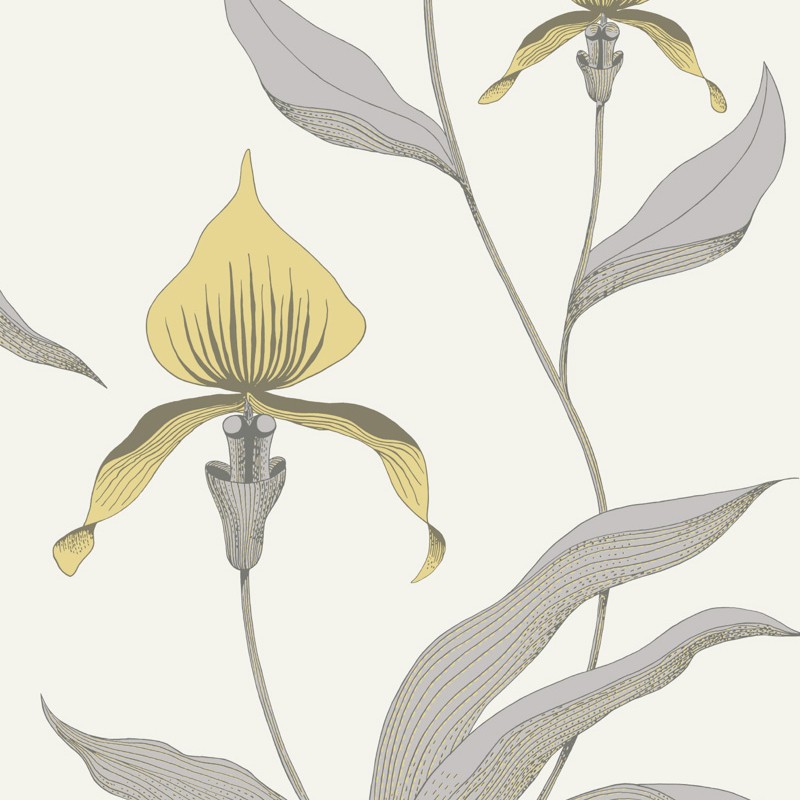 Papel pintado Cole & Son The Contemporary Selection Orchid 95-10057