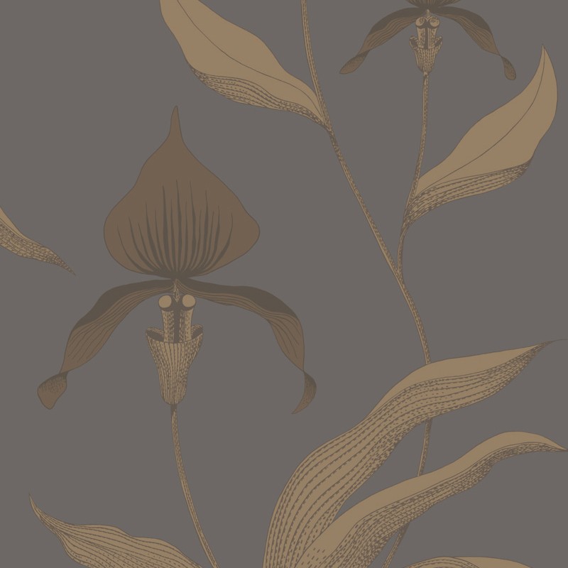 Papel pintado Cole & Son The Contemporary Selection Orchid 95-10056