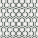 The Contemporary Selection 66/8055 Cole & Son Papel Pintado